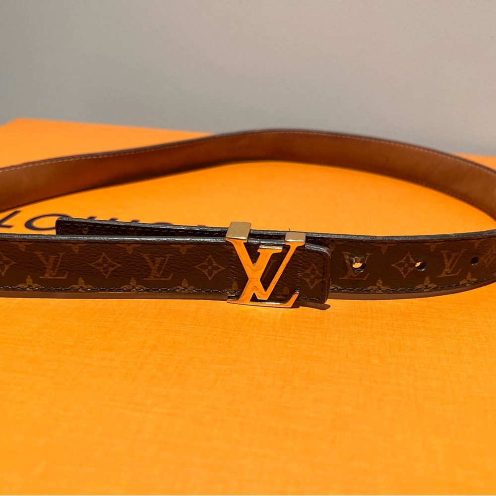 Louis Vuitton Gold and Brown Monogram Belt Bag